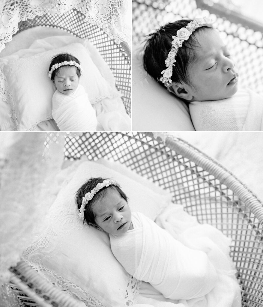 Newborn photography family session baby in bassinet in studio in Tampa Bay, Florida Nadine B Photography