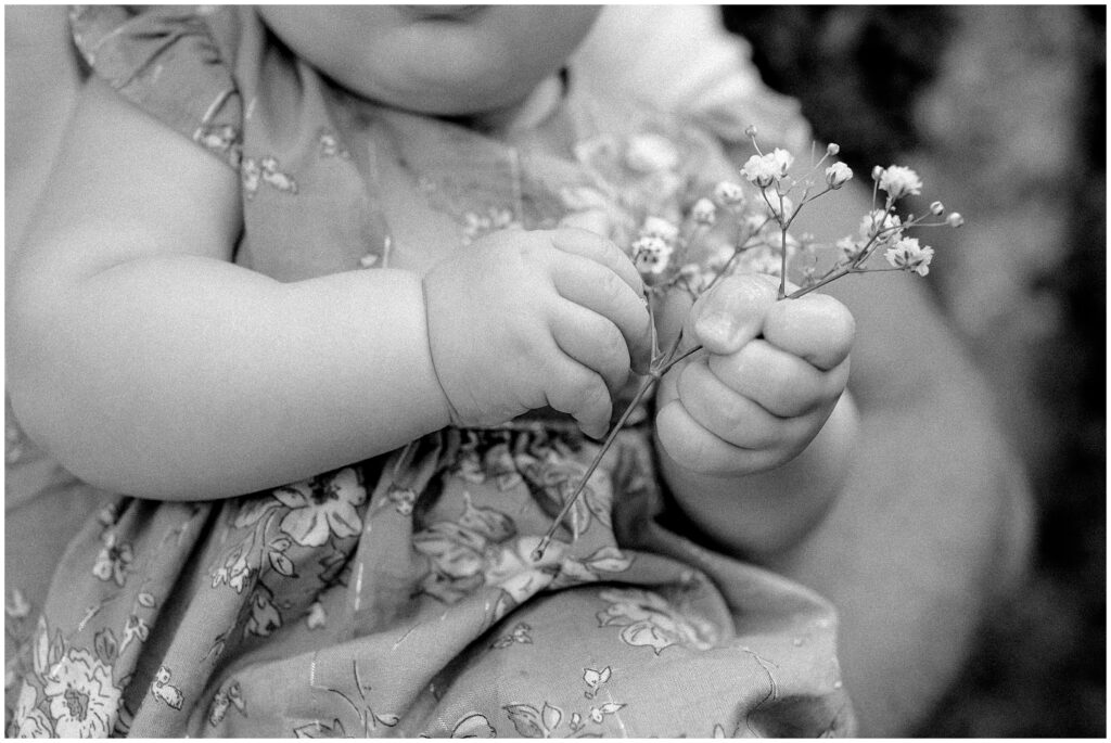 close up black and white portrait of 6 month old baby girl with babys breath flowers in hands