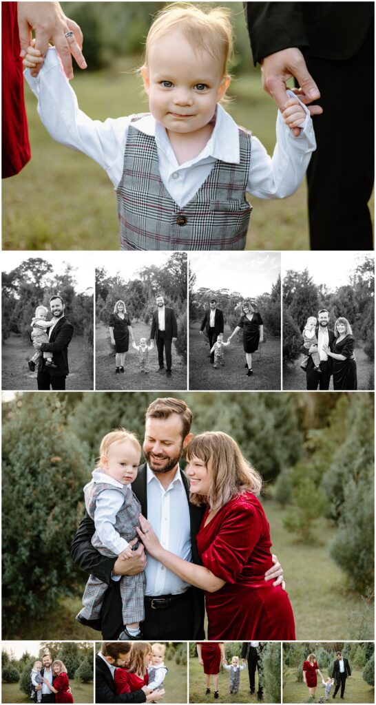 Mom in a red velvet dress and dad in a black suit with their toddler son in a gray suit, enjoying a day at Blue Acres Christmas Tree Farm, Shady Hill, Florida.

