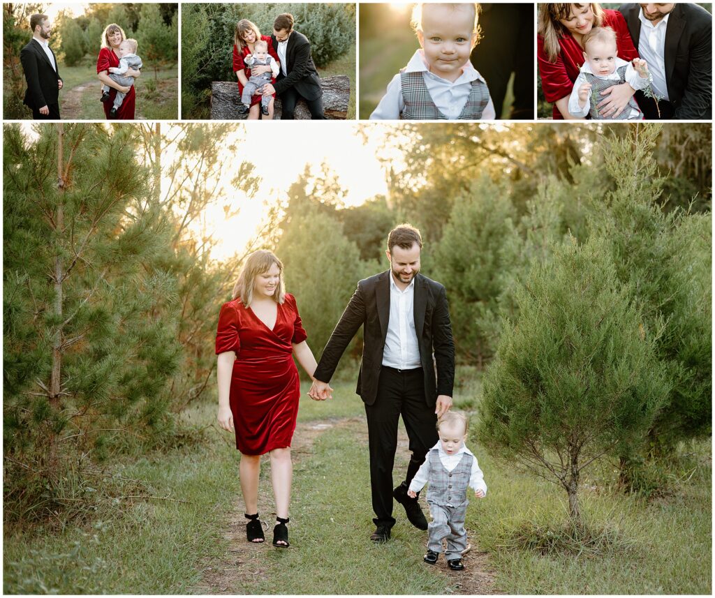 Toddler in gray suit playing with parents at Blue Acres Christmas Tree Farm, Shady Hill, Florida.

