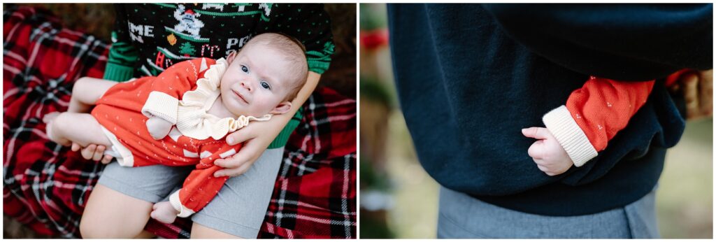 Baby girl portraits and close ups at Blue Acres Christmas Tree Farm in Tampa