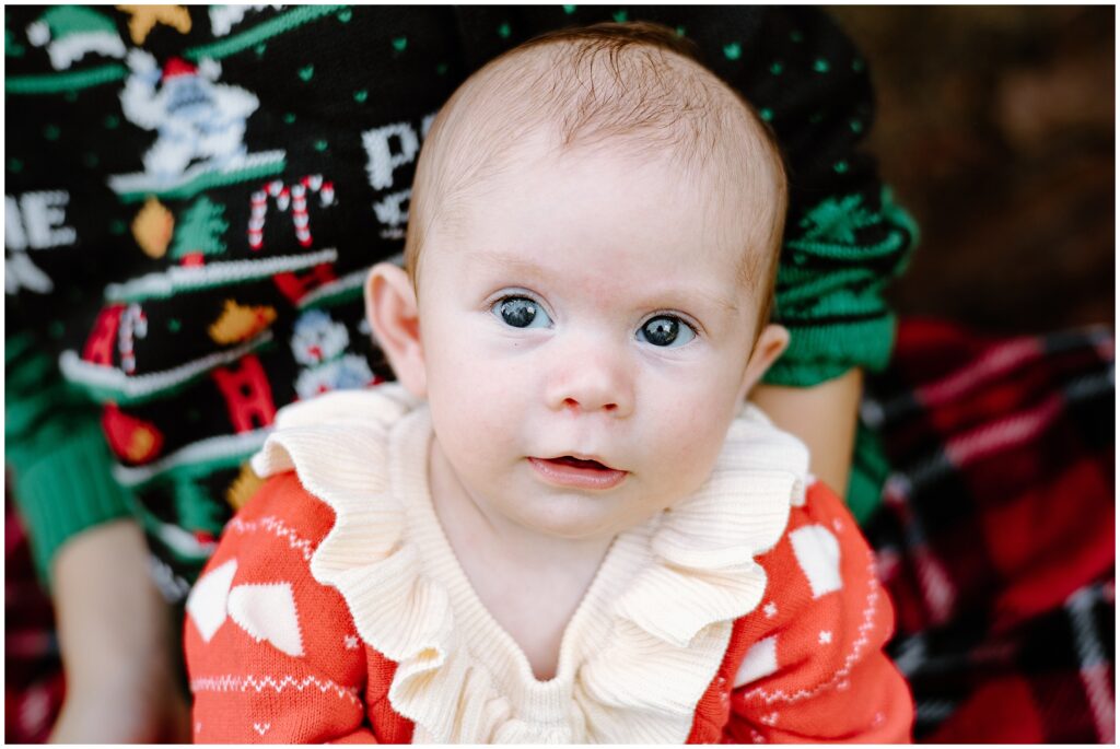 Close up portrait of baby girl in red holiday dress at Blue Acres Christmas Tree Farm in Tampa