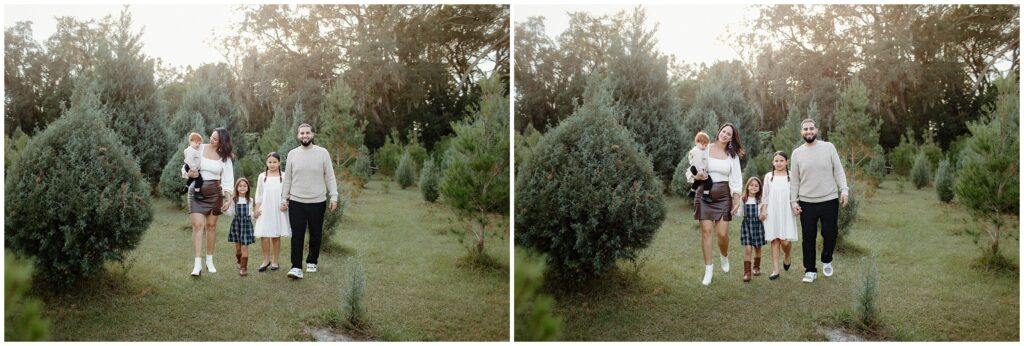 Family of 5 walking in christmas trees during photo session at Blue Acres Christmas Tree Farm in Florida