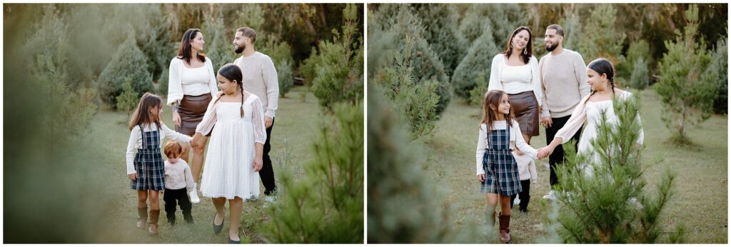 Family walking amongst christmas trees during photo session at Blue Acres Christmas Tree Farm in Florida